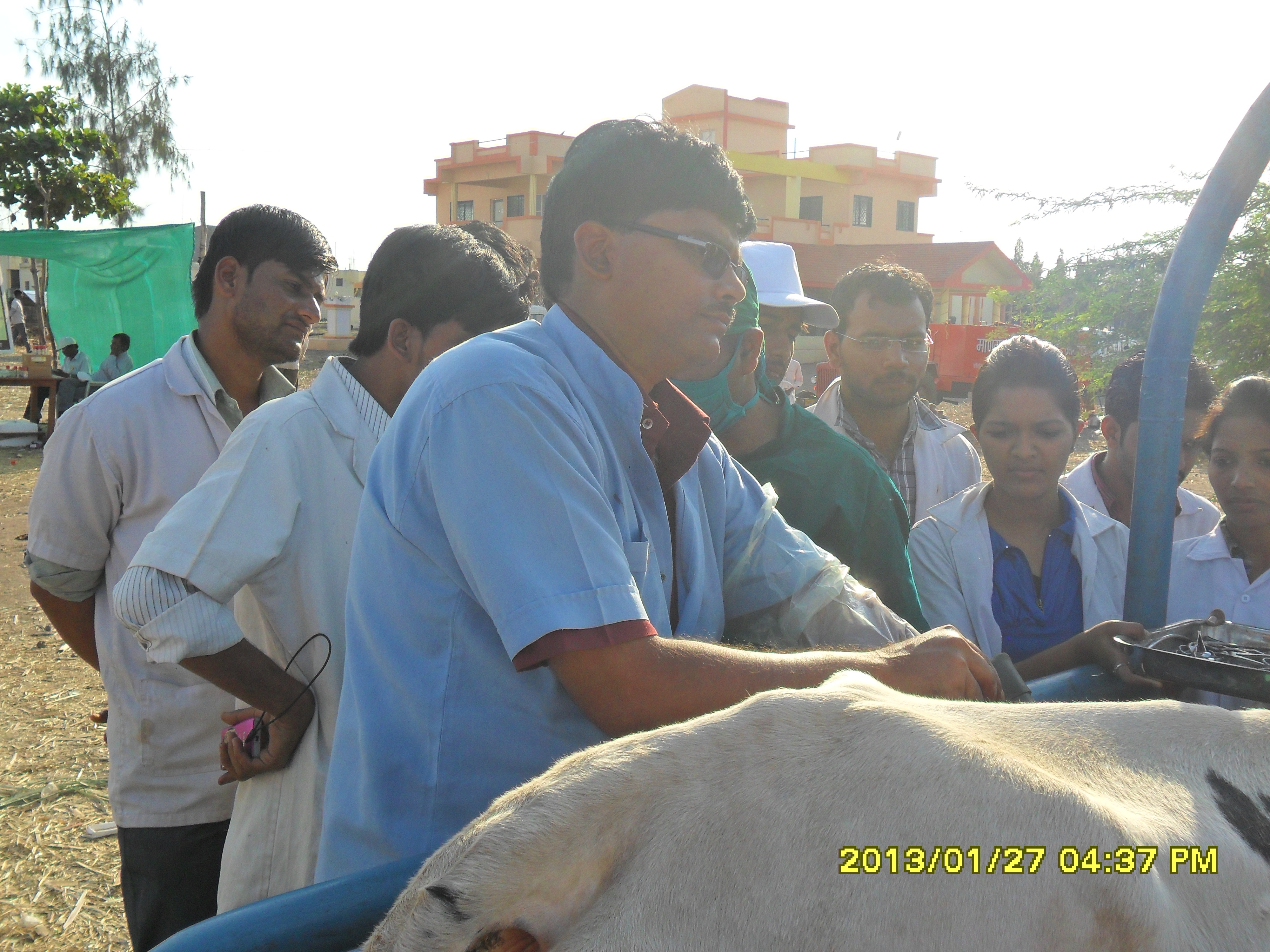 Rumenotomy During Drought Relief Camp
